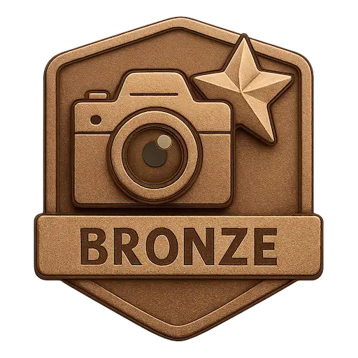 Badge Bronze